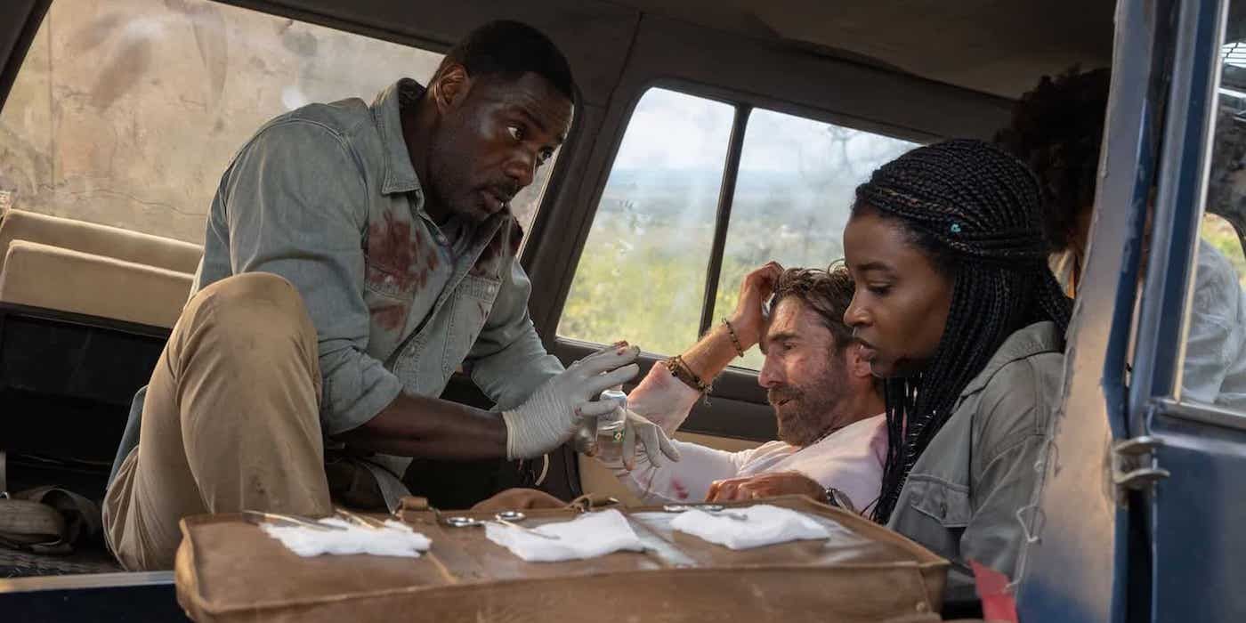 Nate lived after rival lions ate the angry lion in Beast