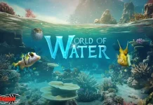 World of Water Codes – February 2024